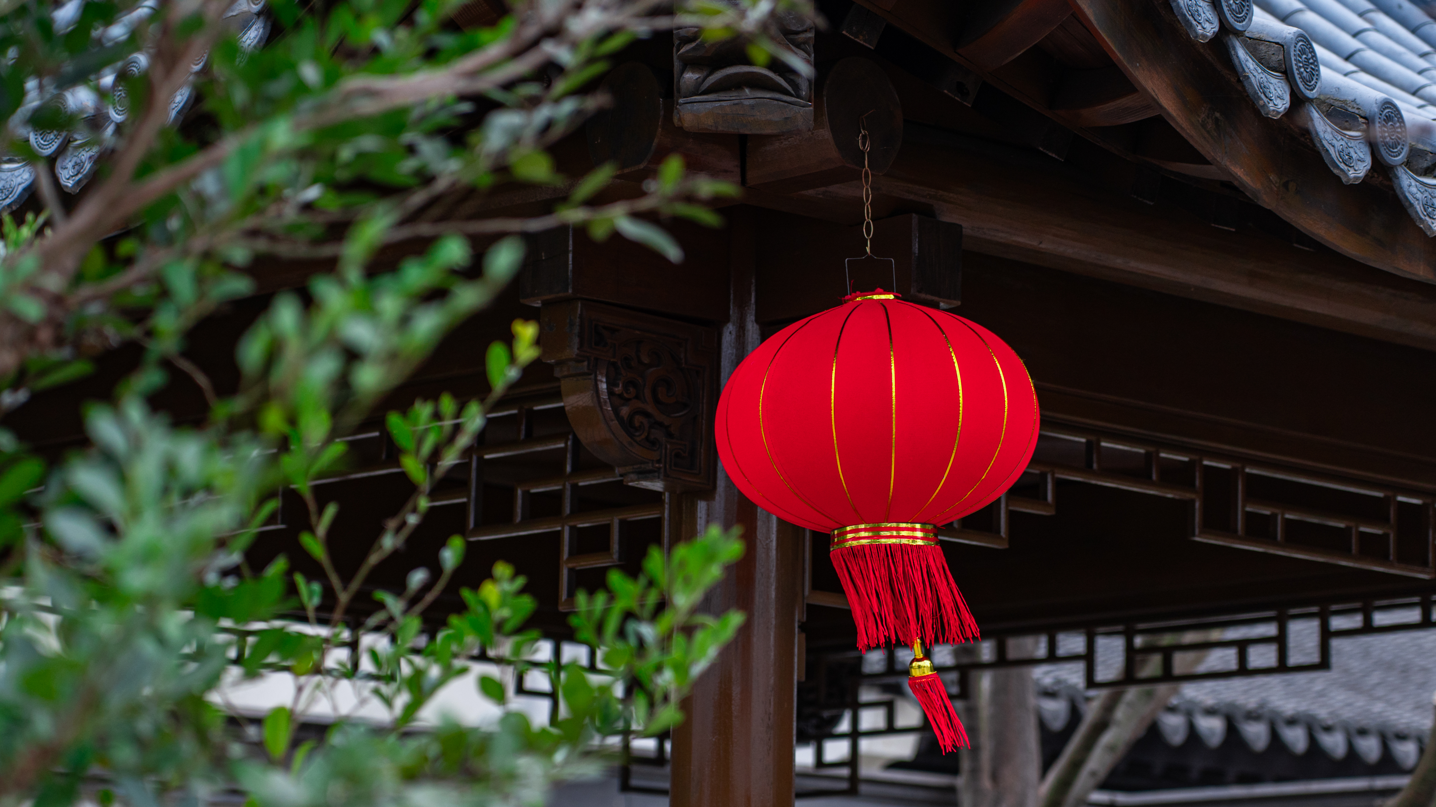 888集团(中国)有限公司官网